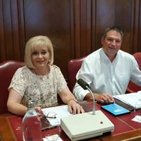 Cs pide que la Diputación extienda el acuerdo con Correos Market para la venta online a todos los negocios de Palencia